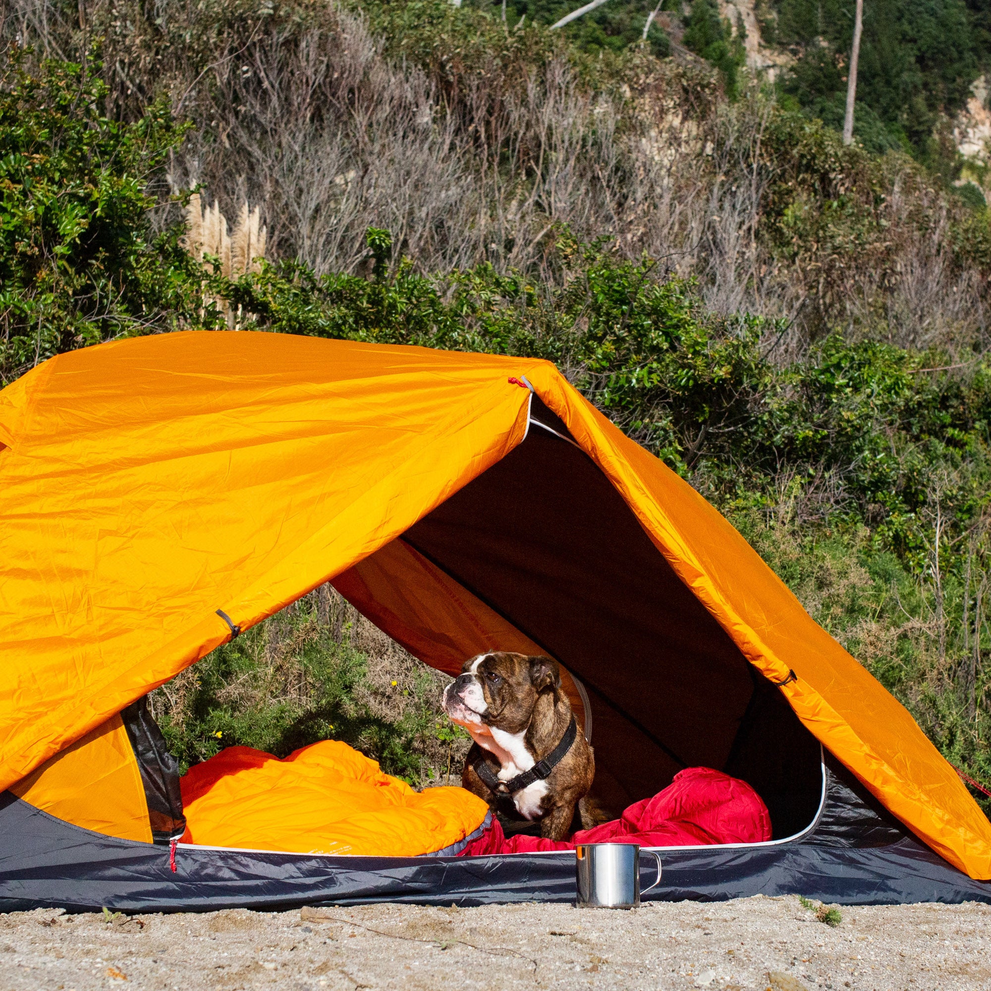 Zeus 2 Person Hiking Tent